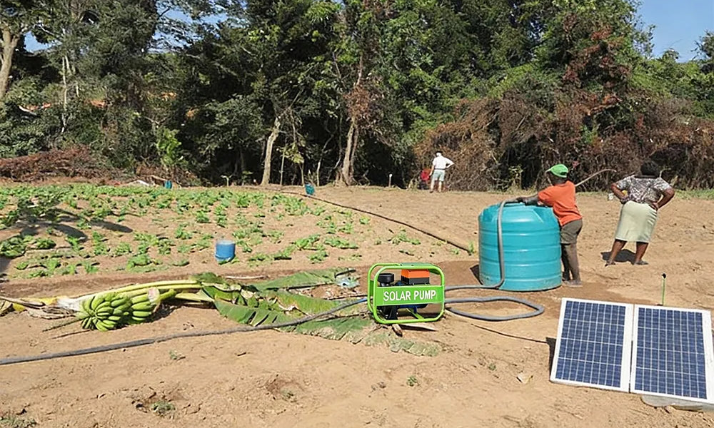 Best Solar Water Pumps