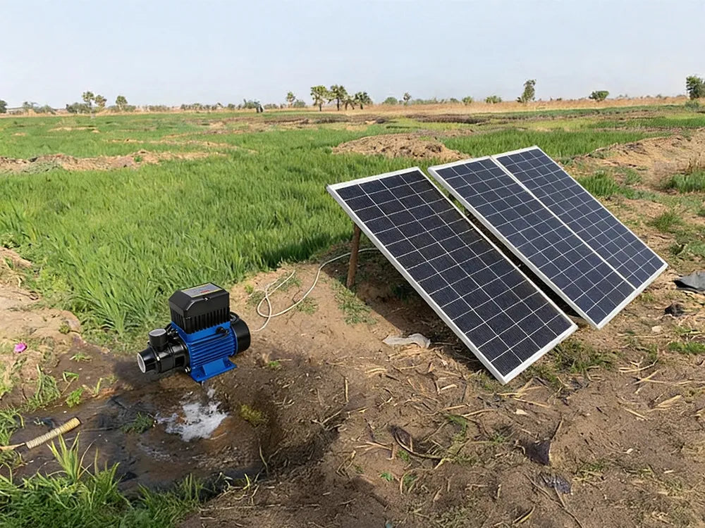 Flowatt DC water pump for farming installed on a rice field in Nigeria