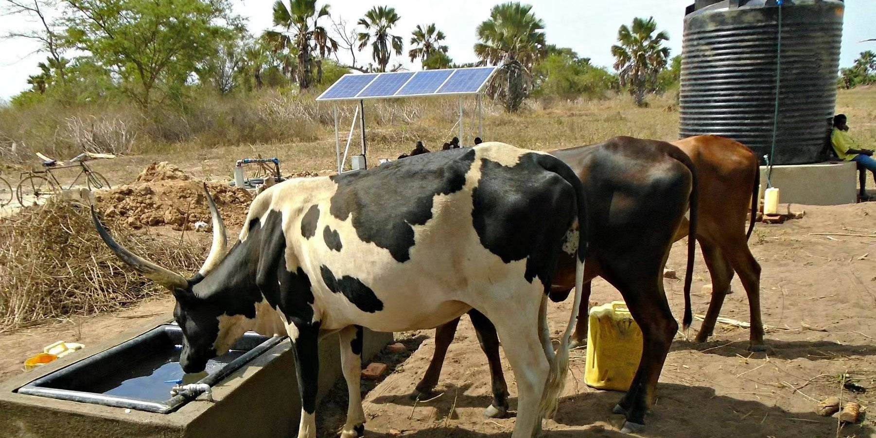 Livestock drinking water