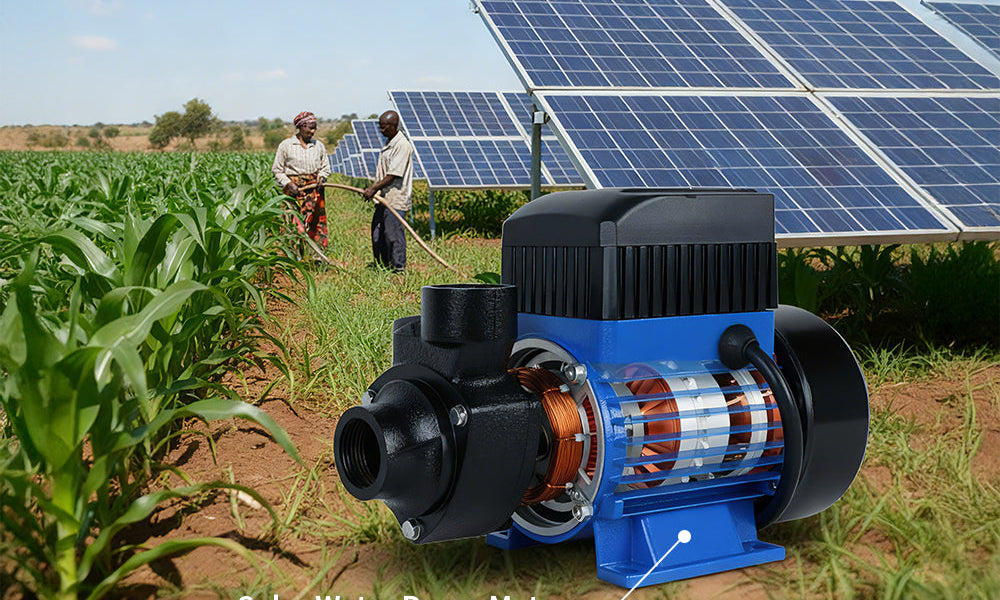 Solar Pumps Motor