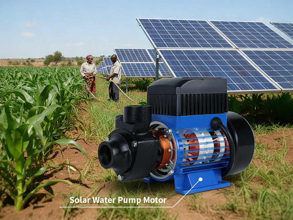 Solar Pumps Motor