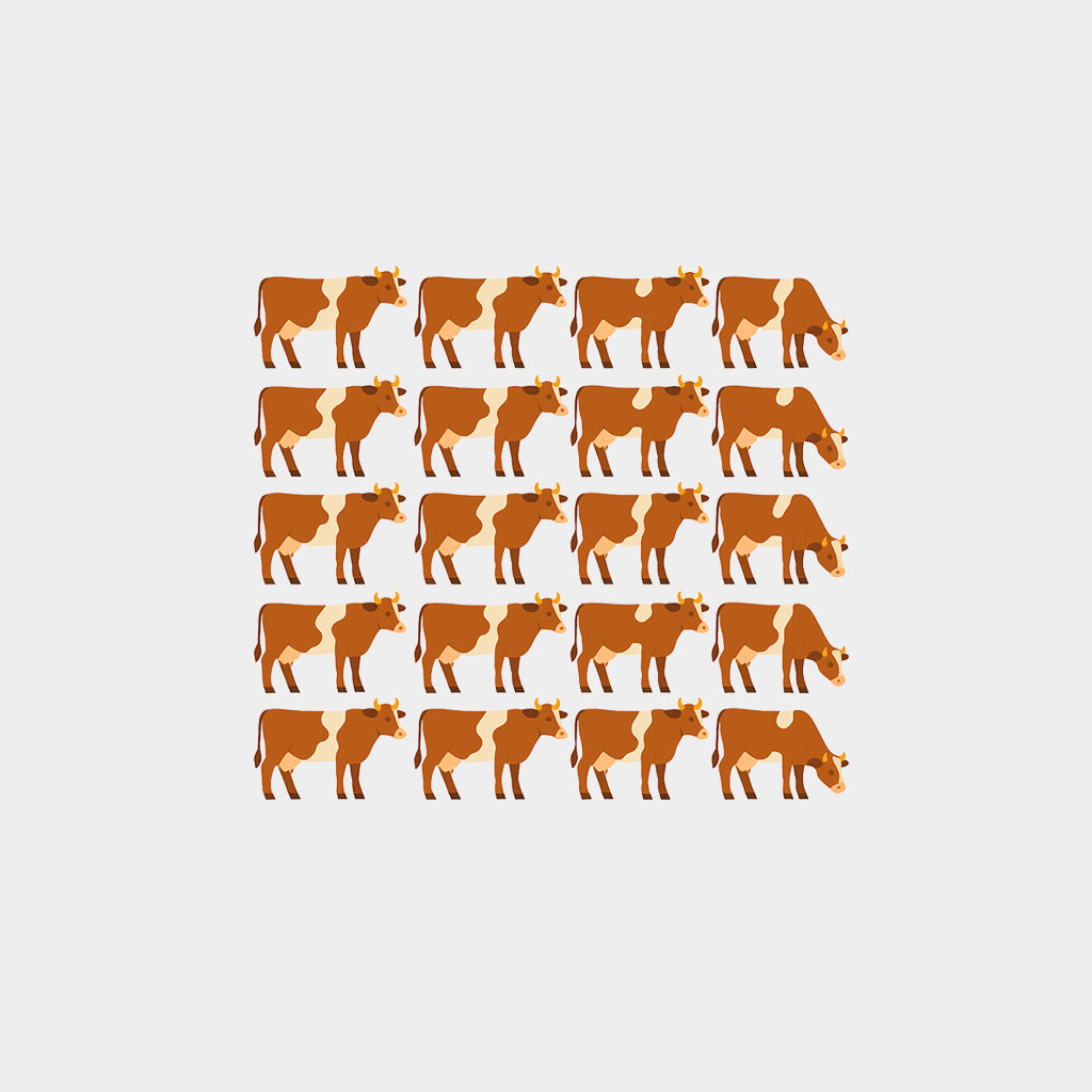 Large Cattle Farm (80 - 120 Cows)